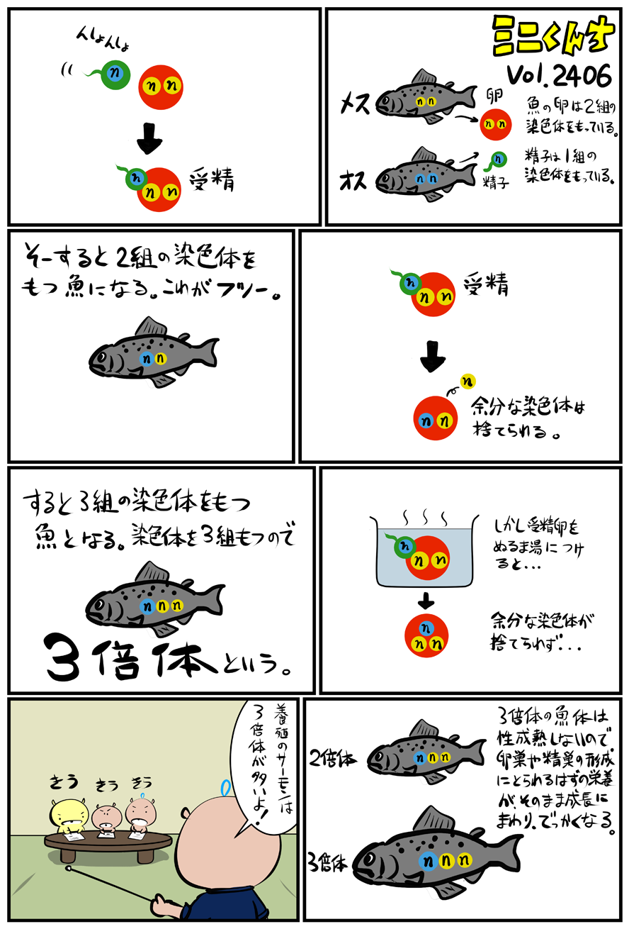 ミニくんちVol.2406