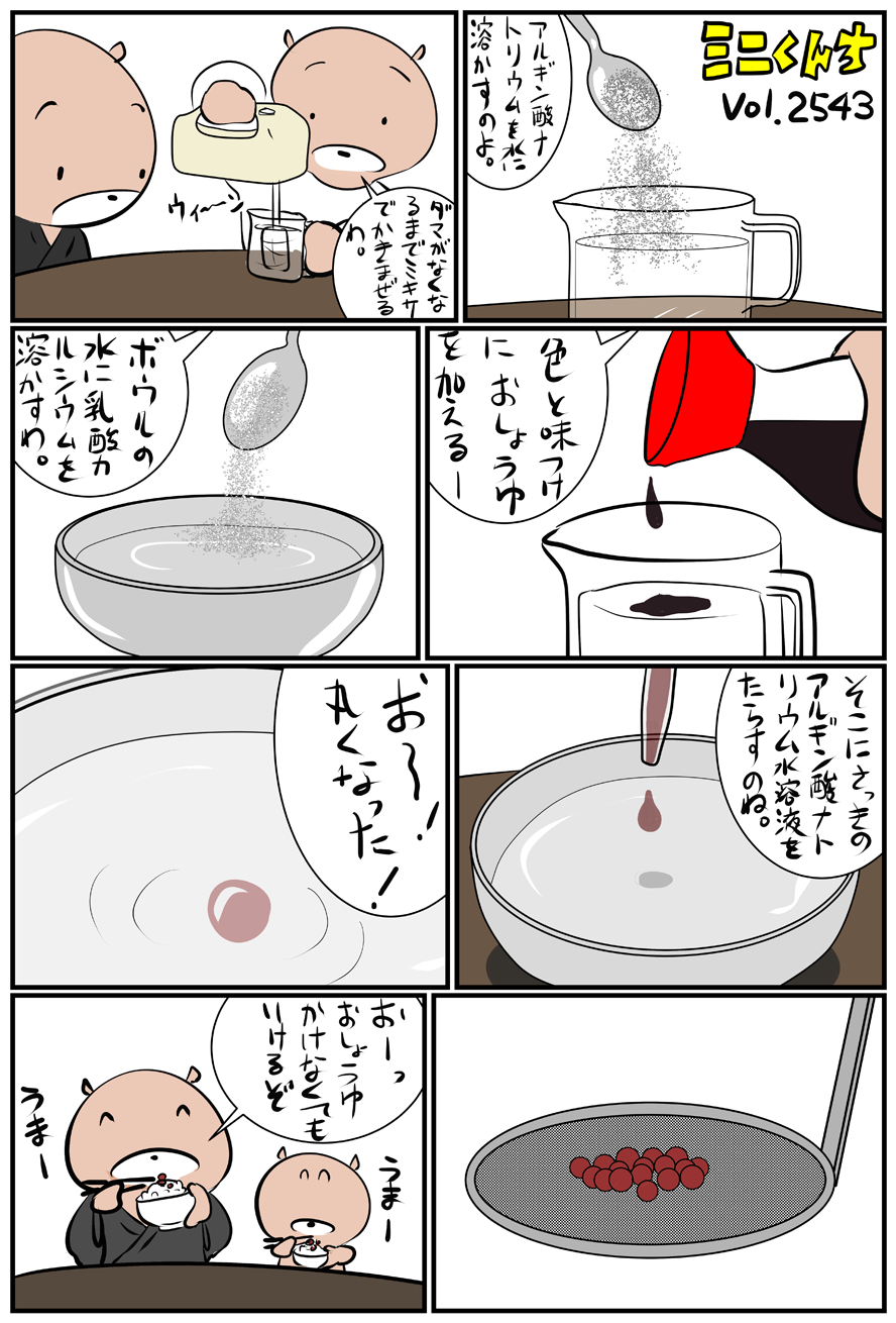 ミニくんちVol.2543